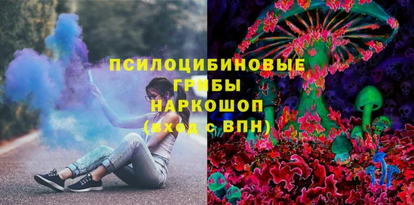 ГАЛЛЮЦИНОГЕННЫЕ ГРИБЫ Лихославль