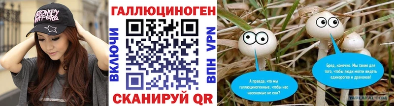 как найти закладки  Камызяк  Галлюциногенные грибы мухоморы 